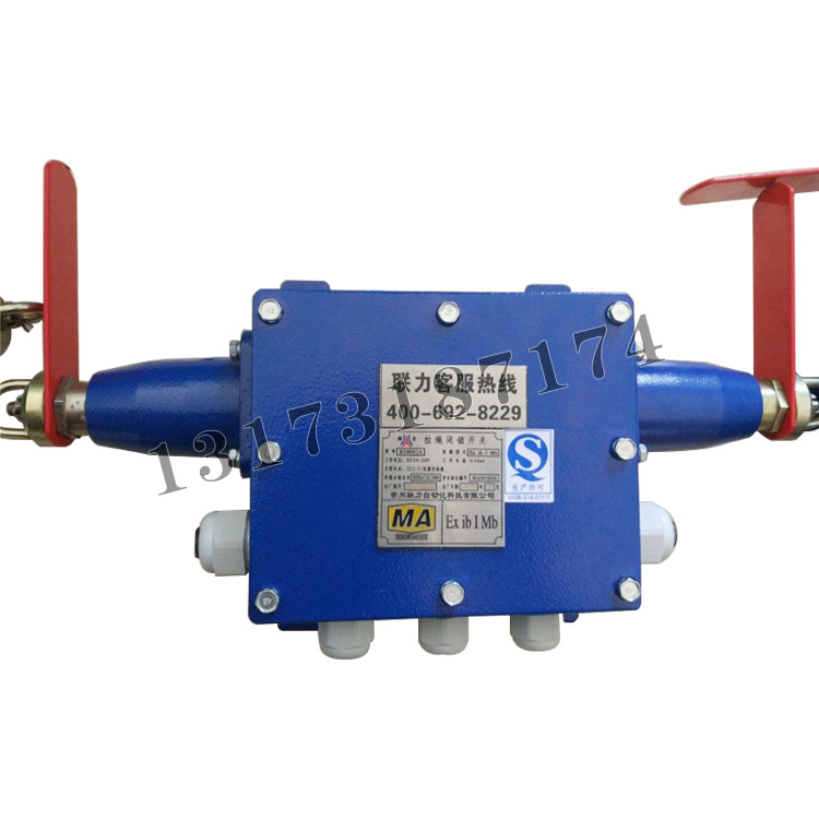 KG9001A-D拉繩閉鎖開關|常州聯(lián)力自動化科技有限公司